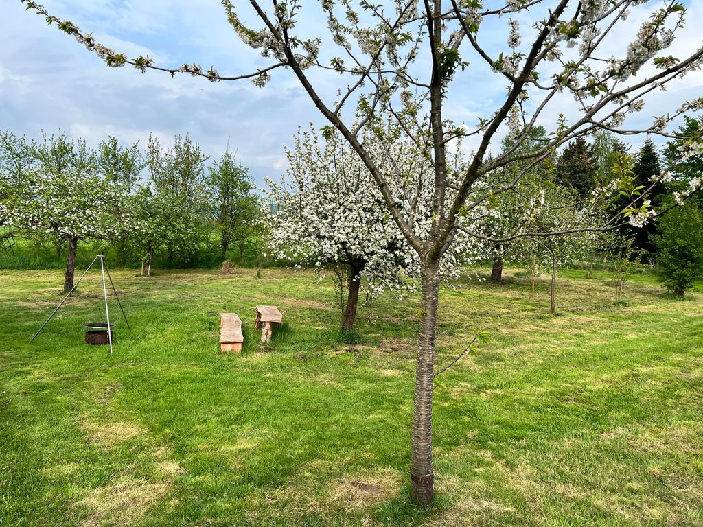 Bivouac site and tent meadow in the Weserbergland region