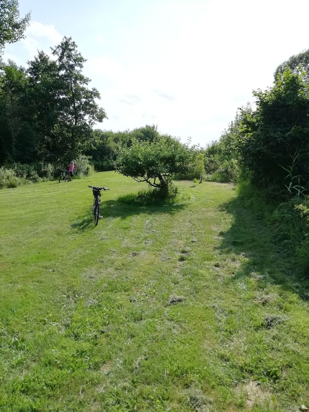 Meadow with direct lake access
