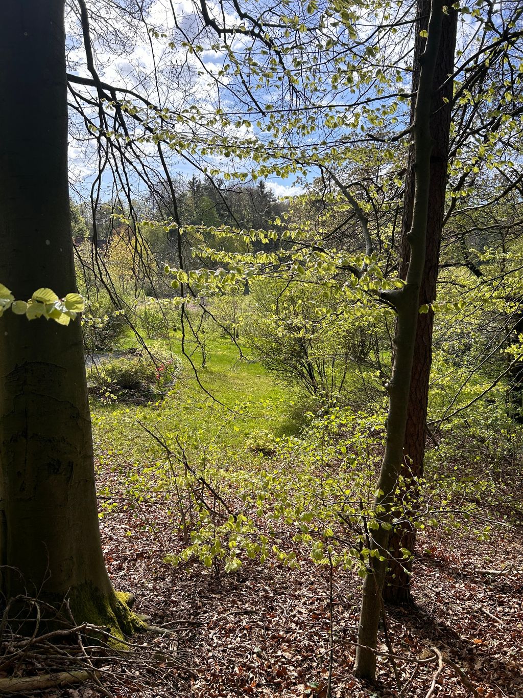 Camping en el Fränk. Suiza Privado en 1800 metros cuadrados.