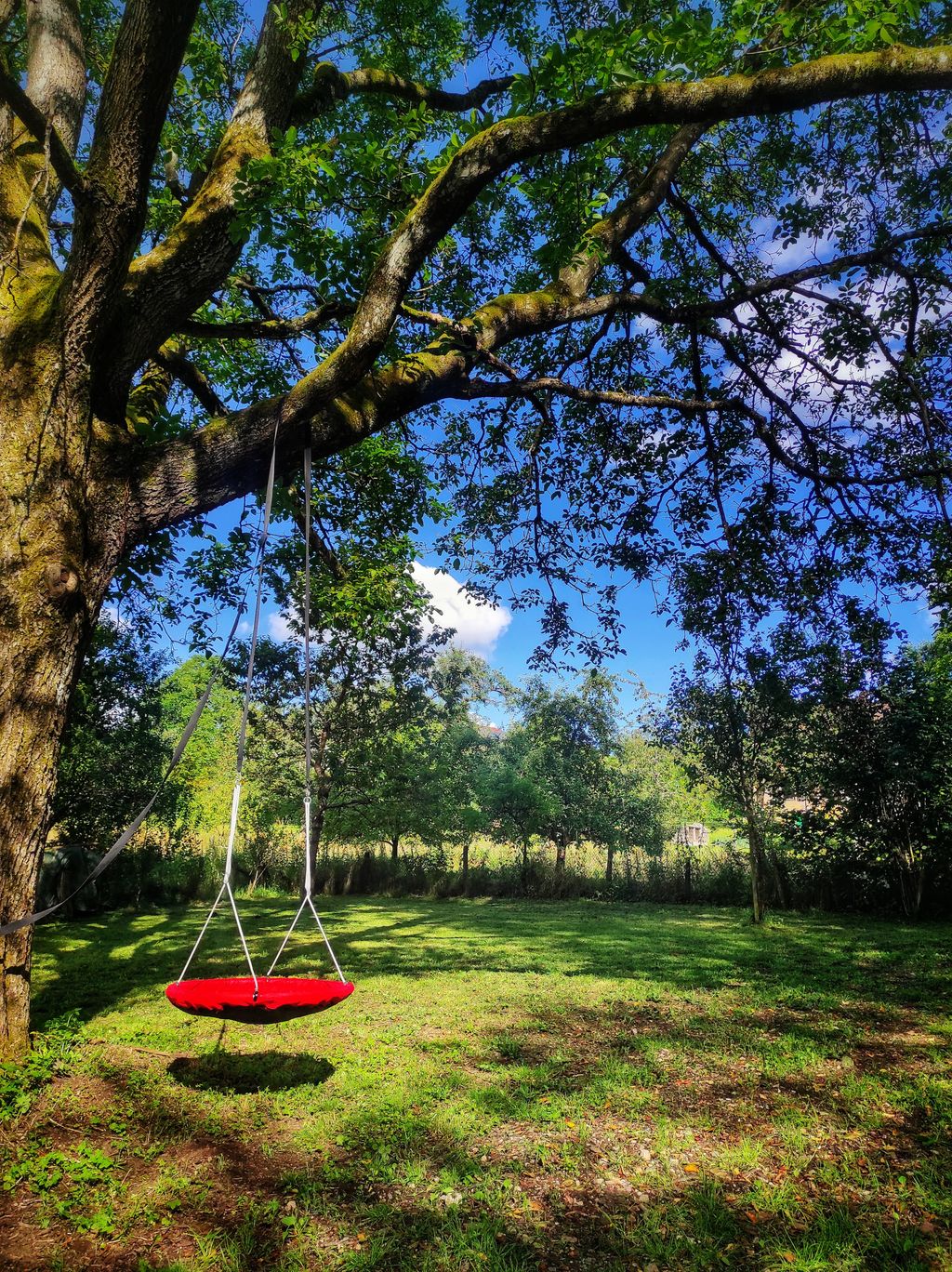 Ein Platz im Grünen unter einem Walnußbaum