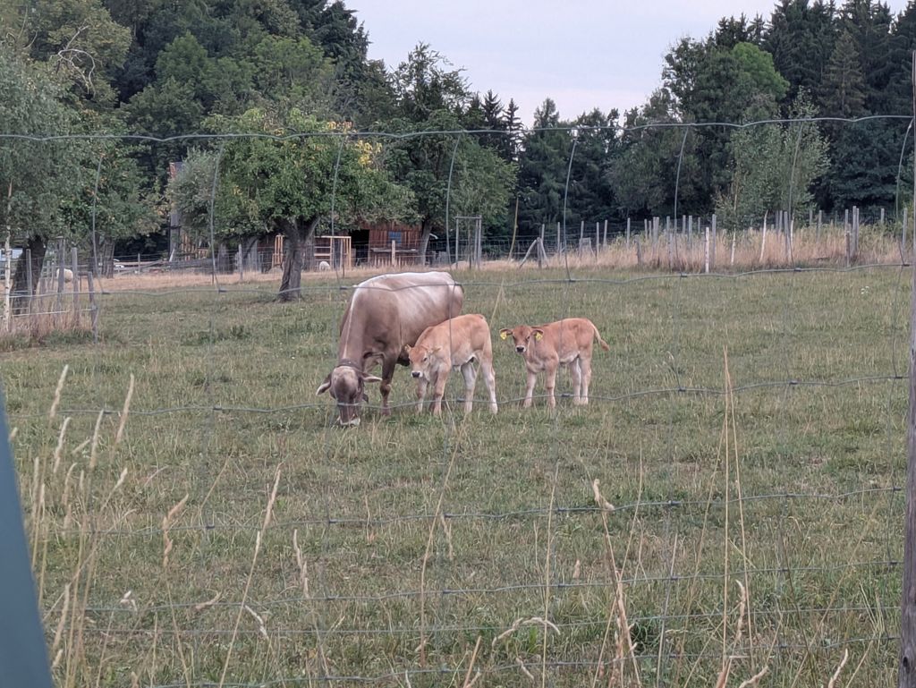Bei Kempten (Allgäu), ruhige Lage mit Bergblick