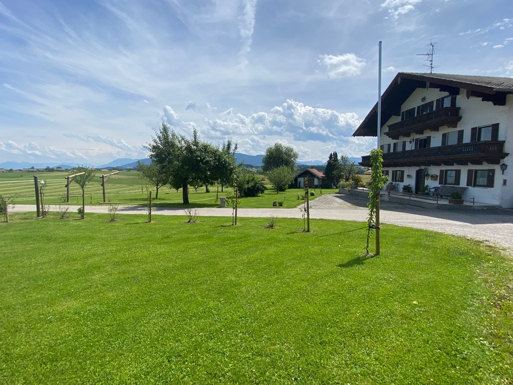 Wiese mit Blick auf die Chiemgauer Berge