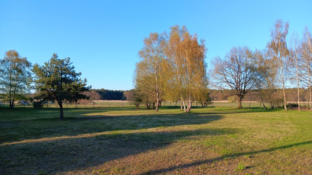 Amplio prado natural junto a la casa: tranquilidad y a 200 m del río