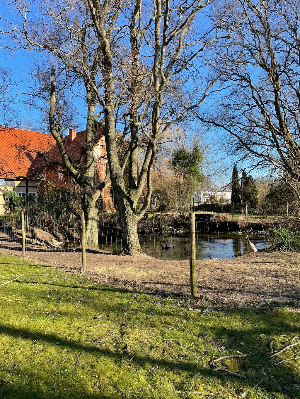 Recreation on an old cottage