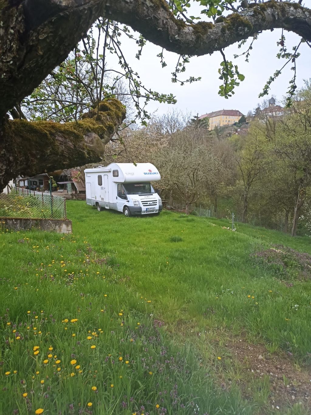 Under the walnut tree in the untouched Ettetal valley