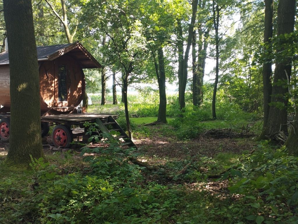 Sauna entre el bosque y la pradera