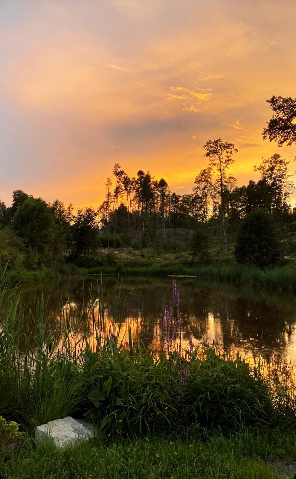 Wilde Heimat, malerische Anlage inmitten der Natur