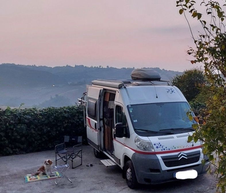 Einzigartige Aussicht vom Weinberg am Hang