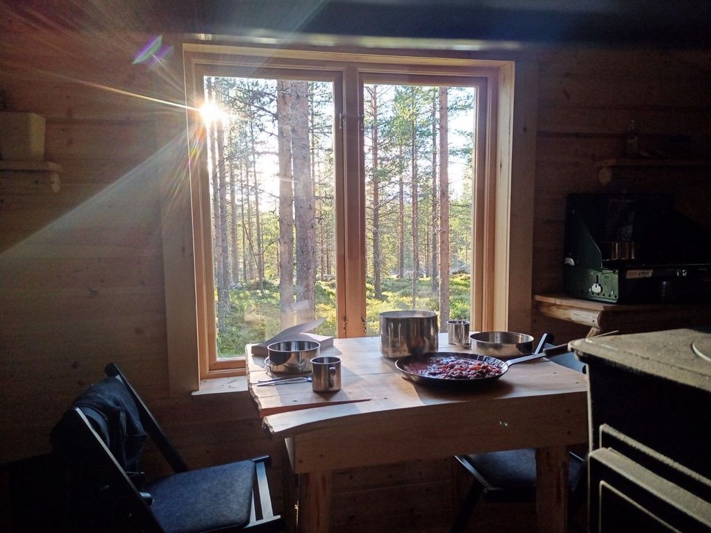 Log cabin in absolute wilderness - "lonely lynx".