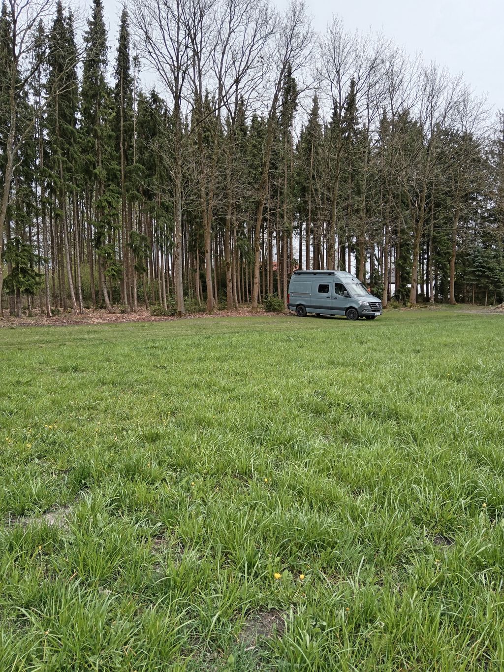 Wintermoor: An Idyllic Heathland Scene—The Heart of the Lüneburg Heath
