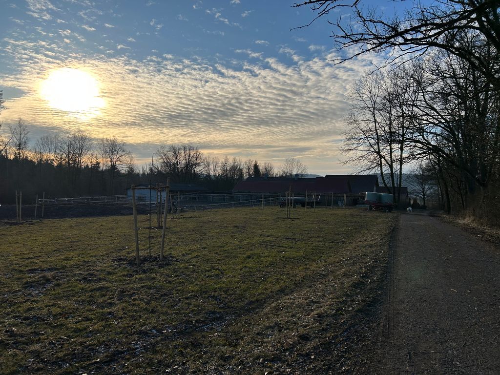 Wilde Weiden - Parcela al borde del bosque Turingia