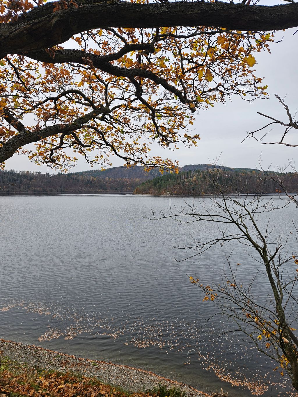 Thüringer Meer hautnah
