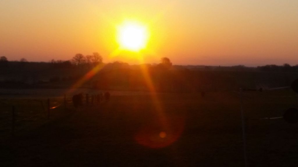Caravan site with horses in the background