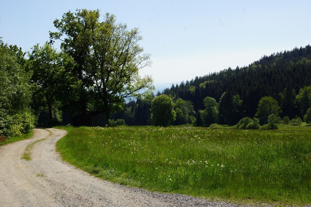 Natur hautnah mit allen Sinnen erleben- 2 Personen