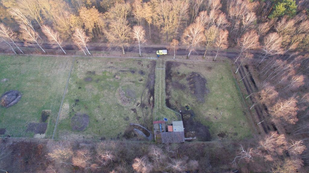 Übernachten an der Poitou-Esel-Weide im Wald