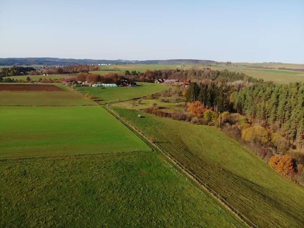 Meadow pitches on organic farm