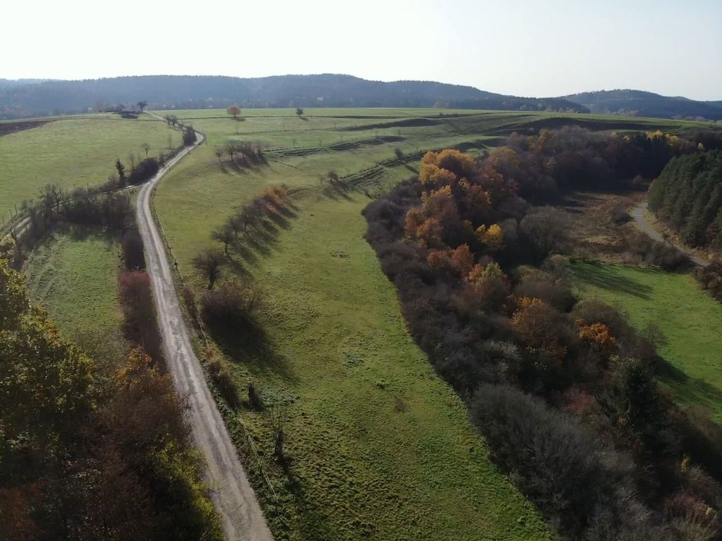 Meadow pitches on organic farm