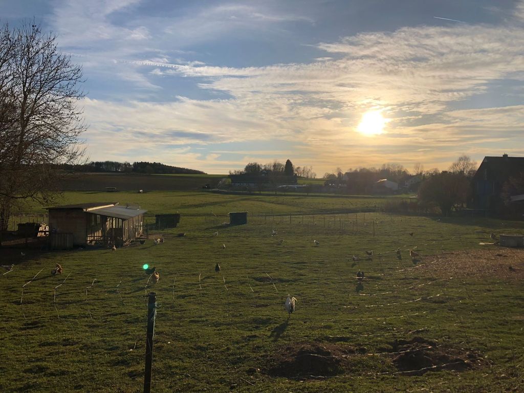 Ruhiges Platzerl im Grünen am Feldstadel  