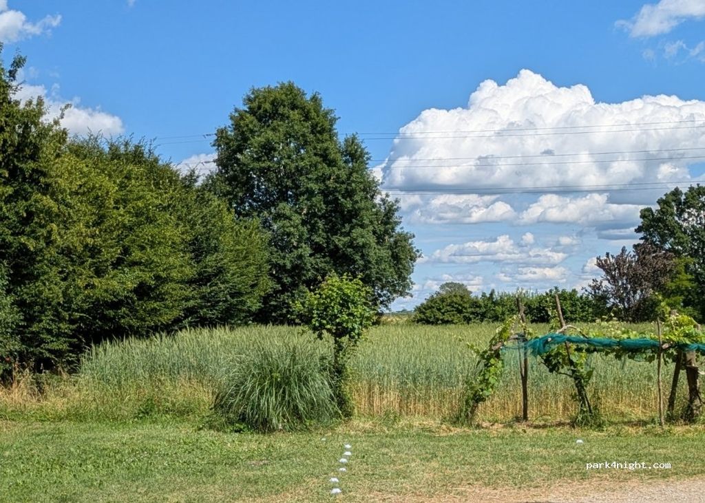 Ferme biologique de Parme : vin, miel et tracteurs d'époque