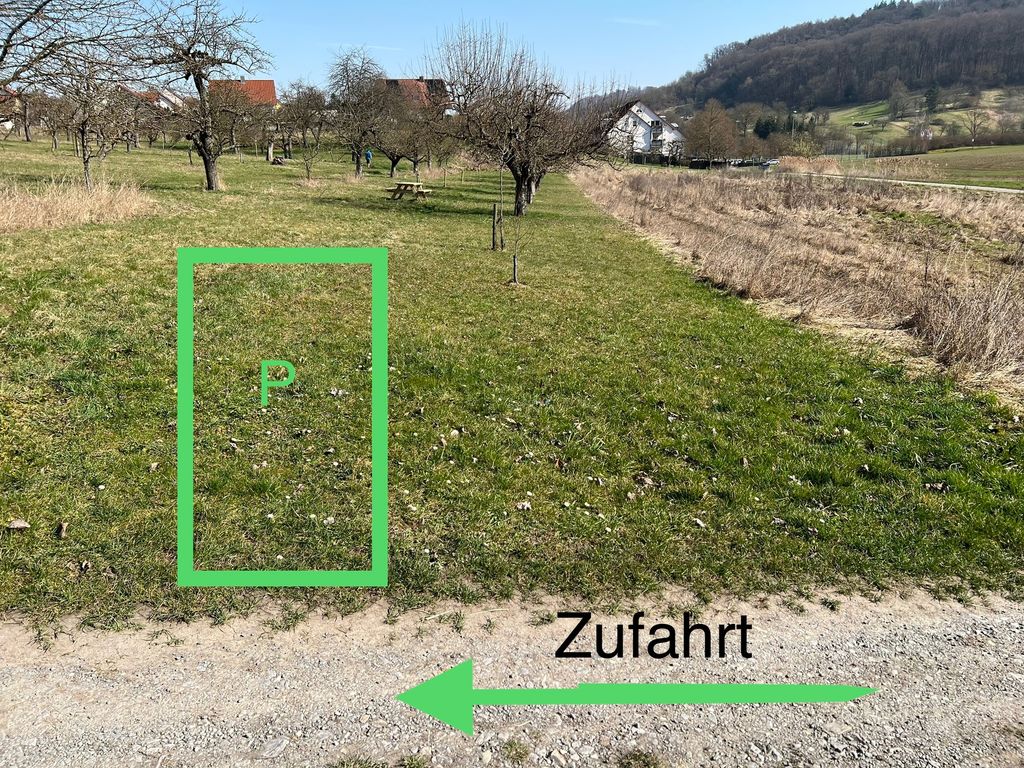 Ansicht Parkfläche und Zufahrt