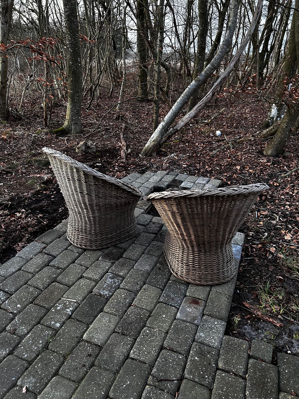 A cozy off-grid retreat in the woods