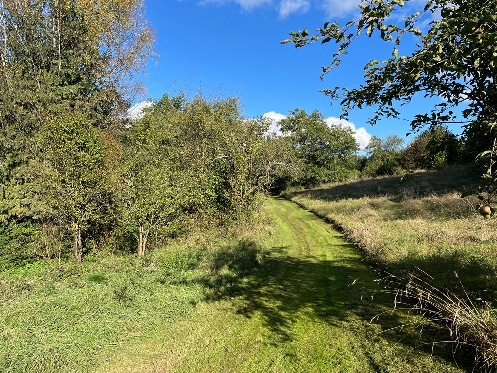 The Taunus - inner city, but still pure nature