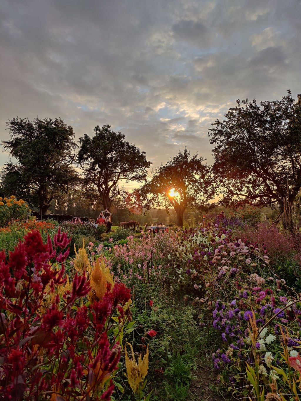Camping for garden lovers in the foothills of the Alps