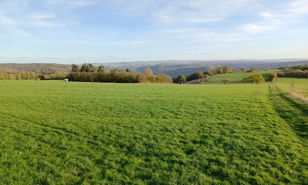 Natur pur im Dorf mitten im Naturpark Nassau 