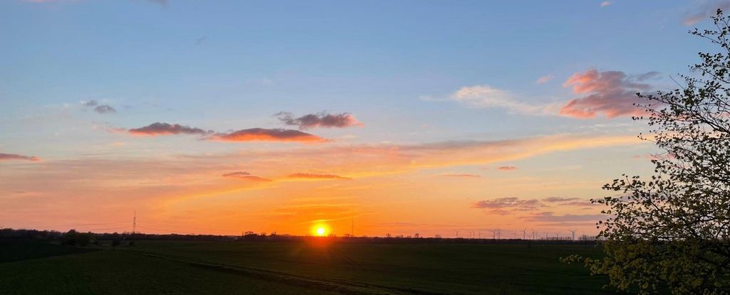 Große Wiese zum freien Stehen nahe Berlin