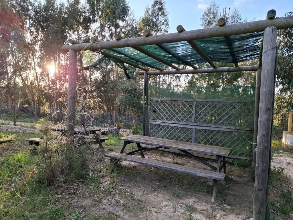 Quiet Retreat in Nature Near the Atlantic Coast