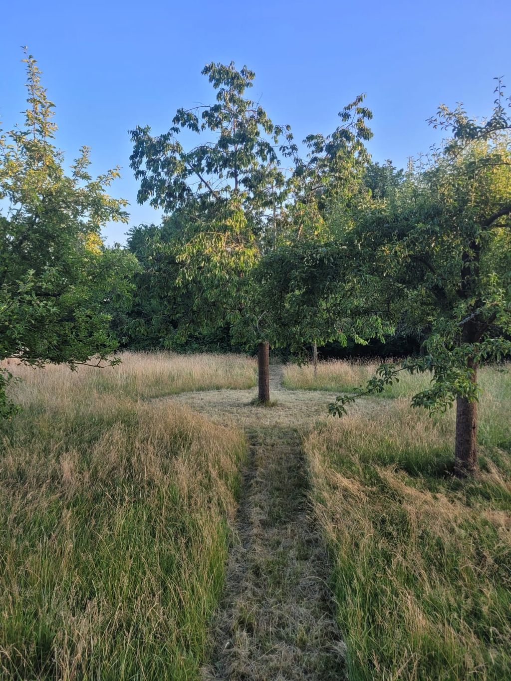Ton coin de nature entre bosquets et grands espaces