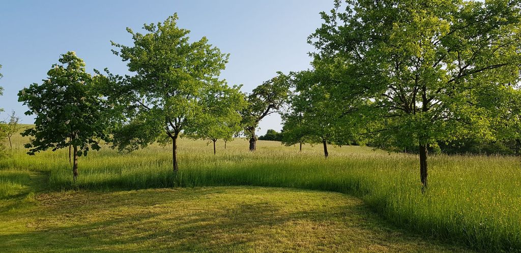 Idyllic farm between the Ruhr area and Sauerland