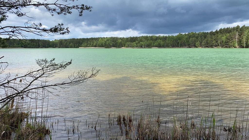 Genuss Campen Lausitz  zwischen Seen und Heide