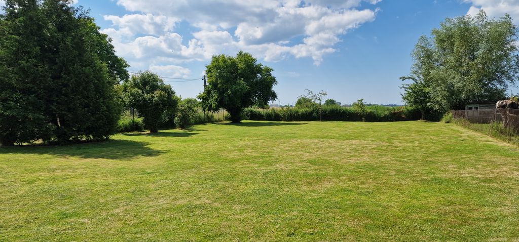 Pradera al borde del campo no lejos del Mar Báltico