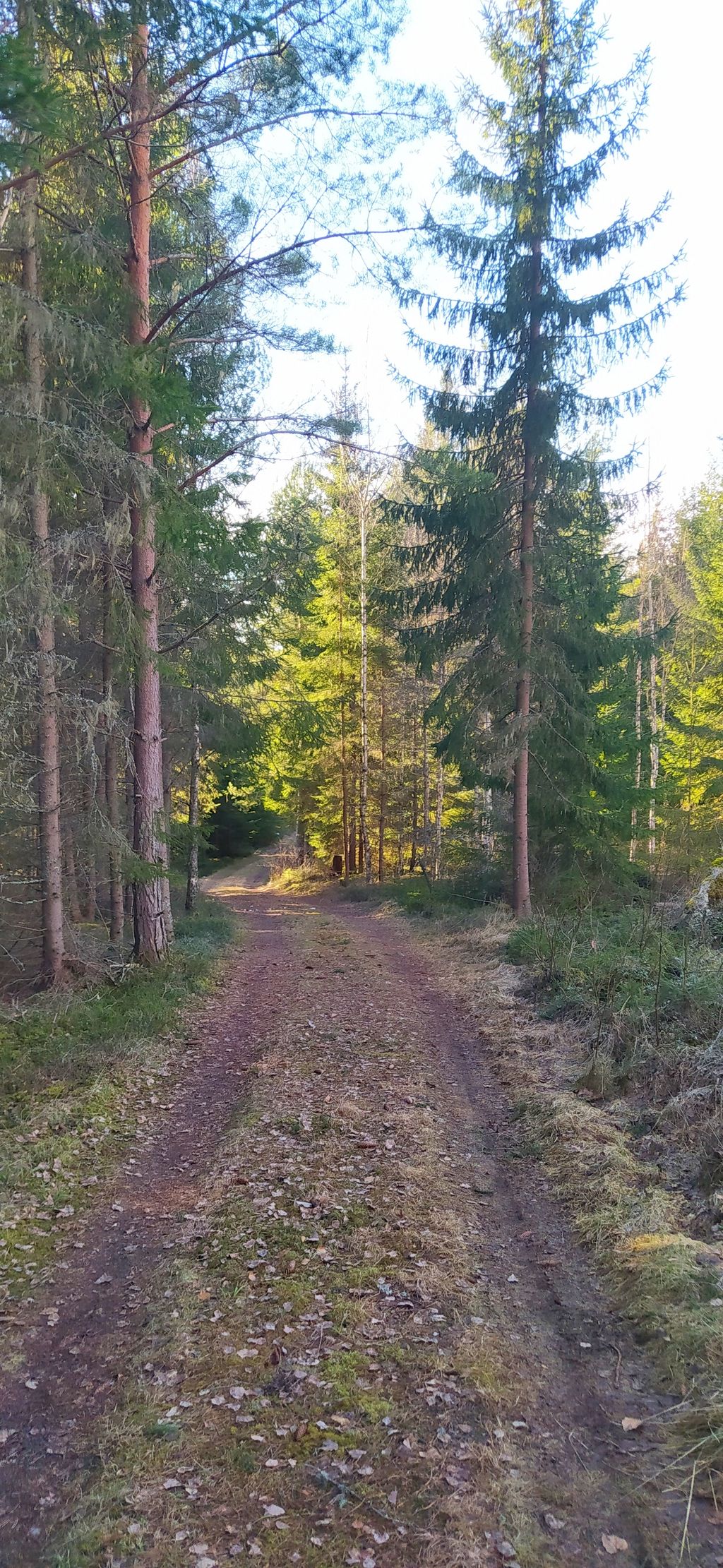 Cabaña de madera Suecia Lugar aislado Bosque Värmland