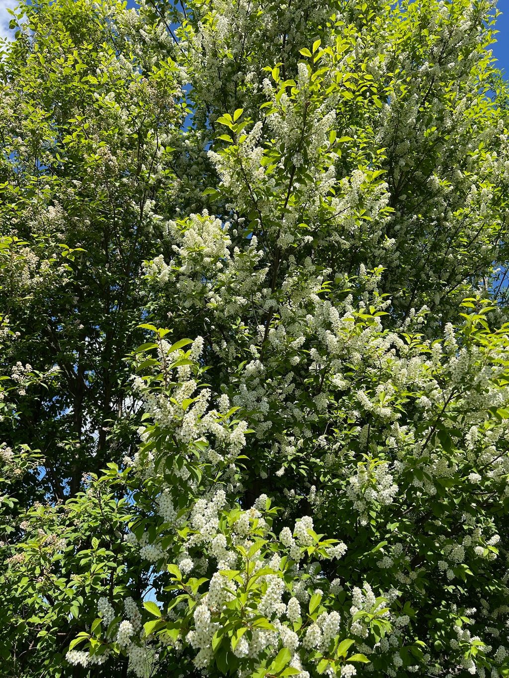Natur-Idylle am Hof: Ruhe & Lagerfeuer-Romantik