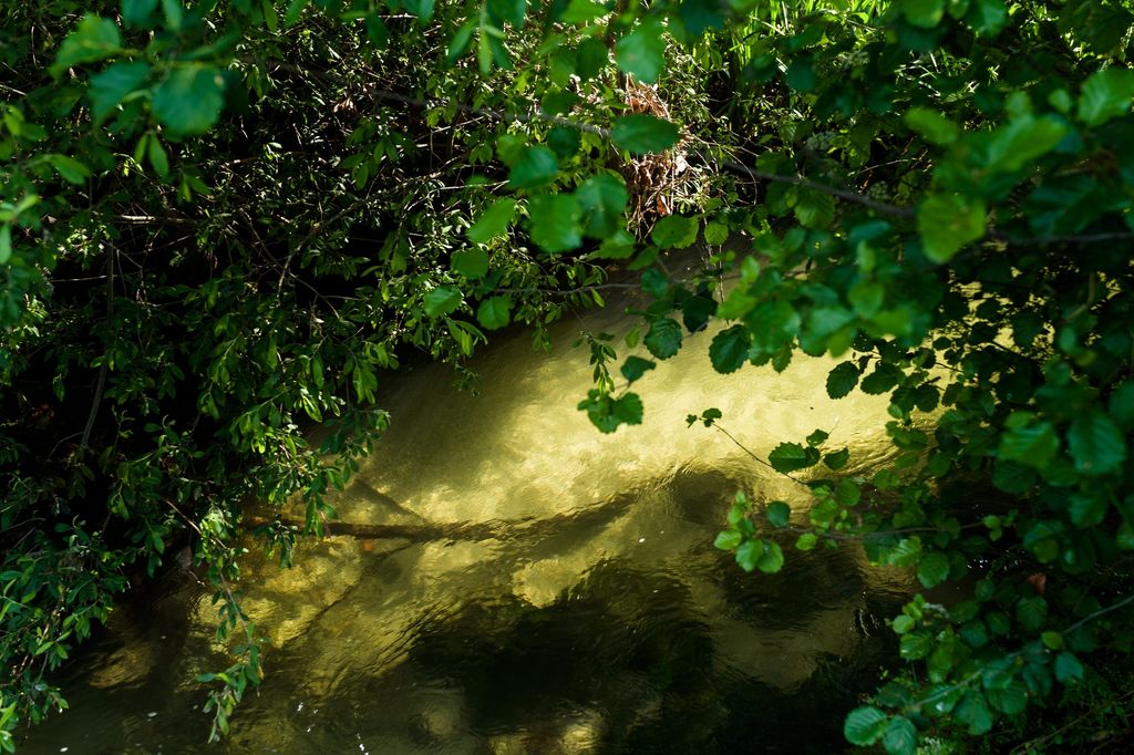 Mikrocamping in der Natur bei Veade Rive- Escape Portugal