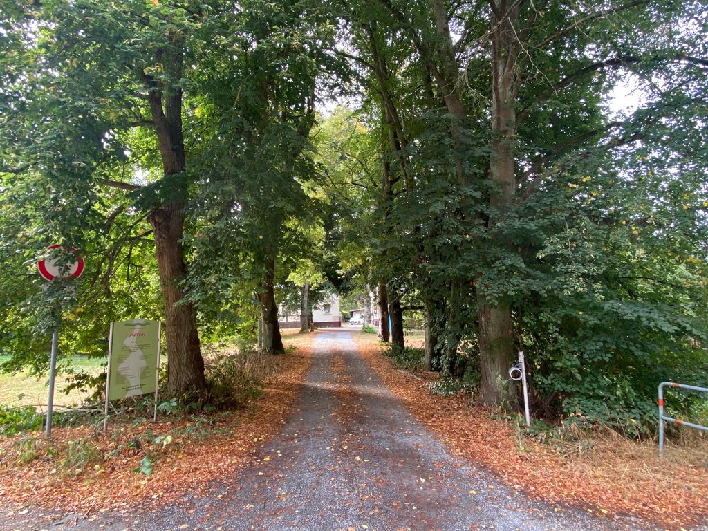 Entrée de la propriété bordée d'une allée de tilleuls
