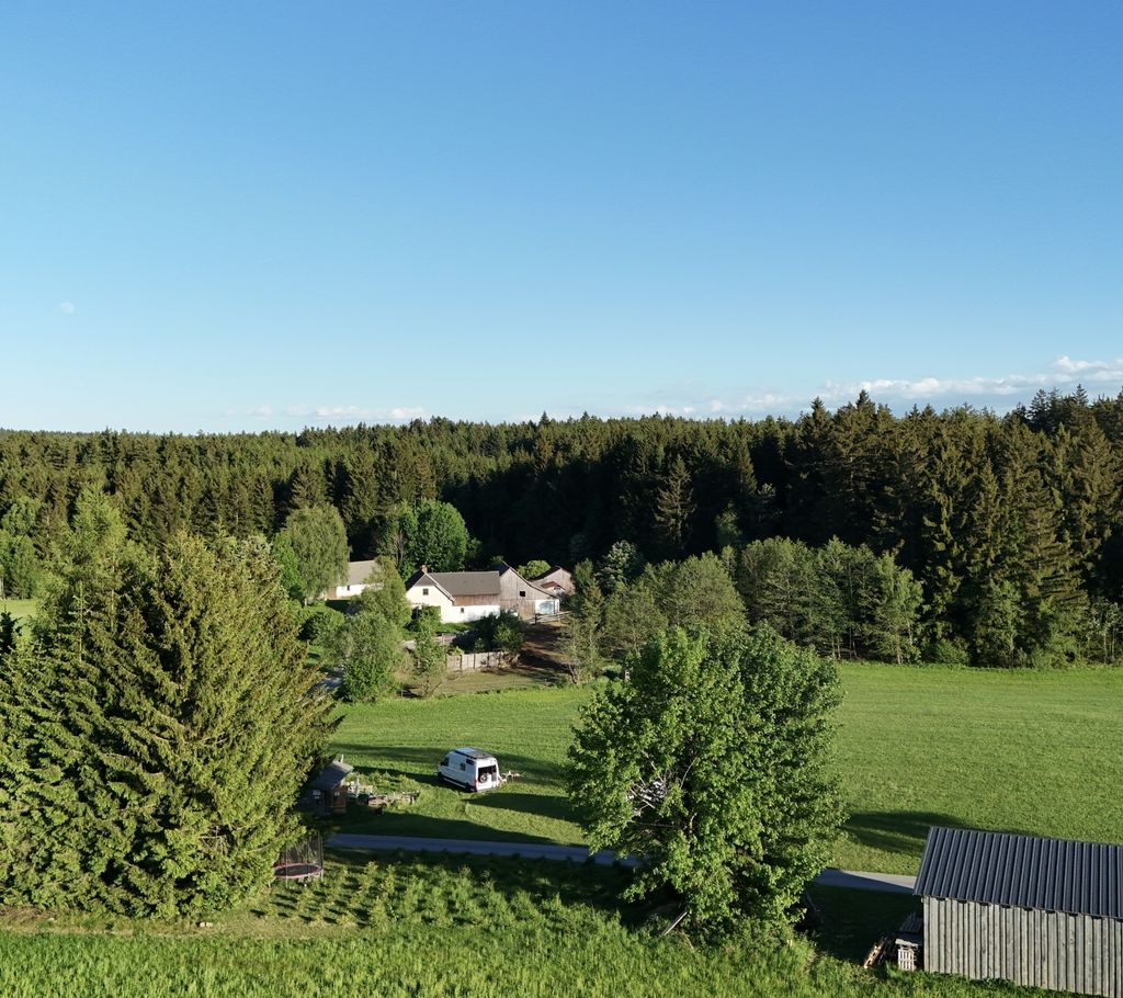 Camping on the alpine pasture and by the stream at 800 meters altitude