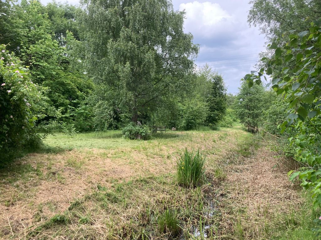 Naturerlebnis mitten in Hamburg