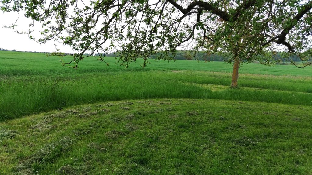 Orchard meadow right next to the Hasenwald zoo