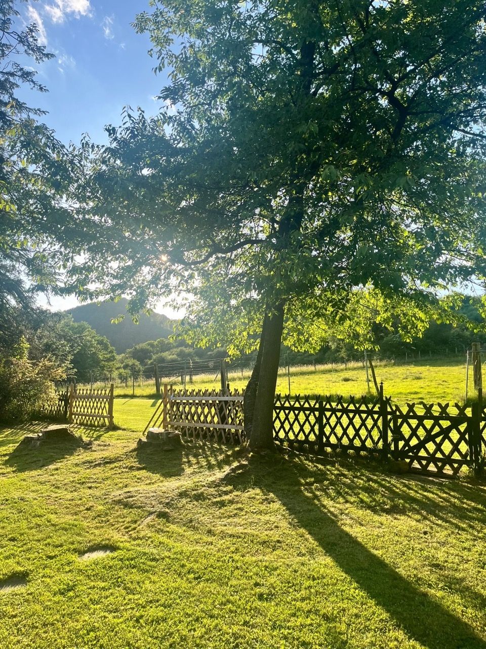 Comfortable private pitch for 4 - a dream on the edge of the Westerwald