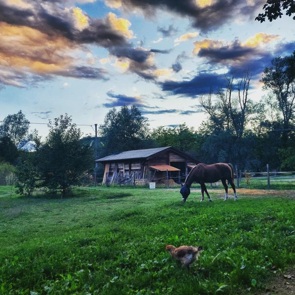 Un oasis en el Monferrato, entre caballos y colinas