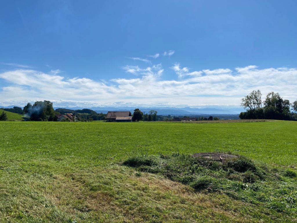 Piazzola in fattoria con vista sulle montagne