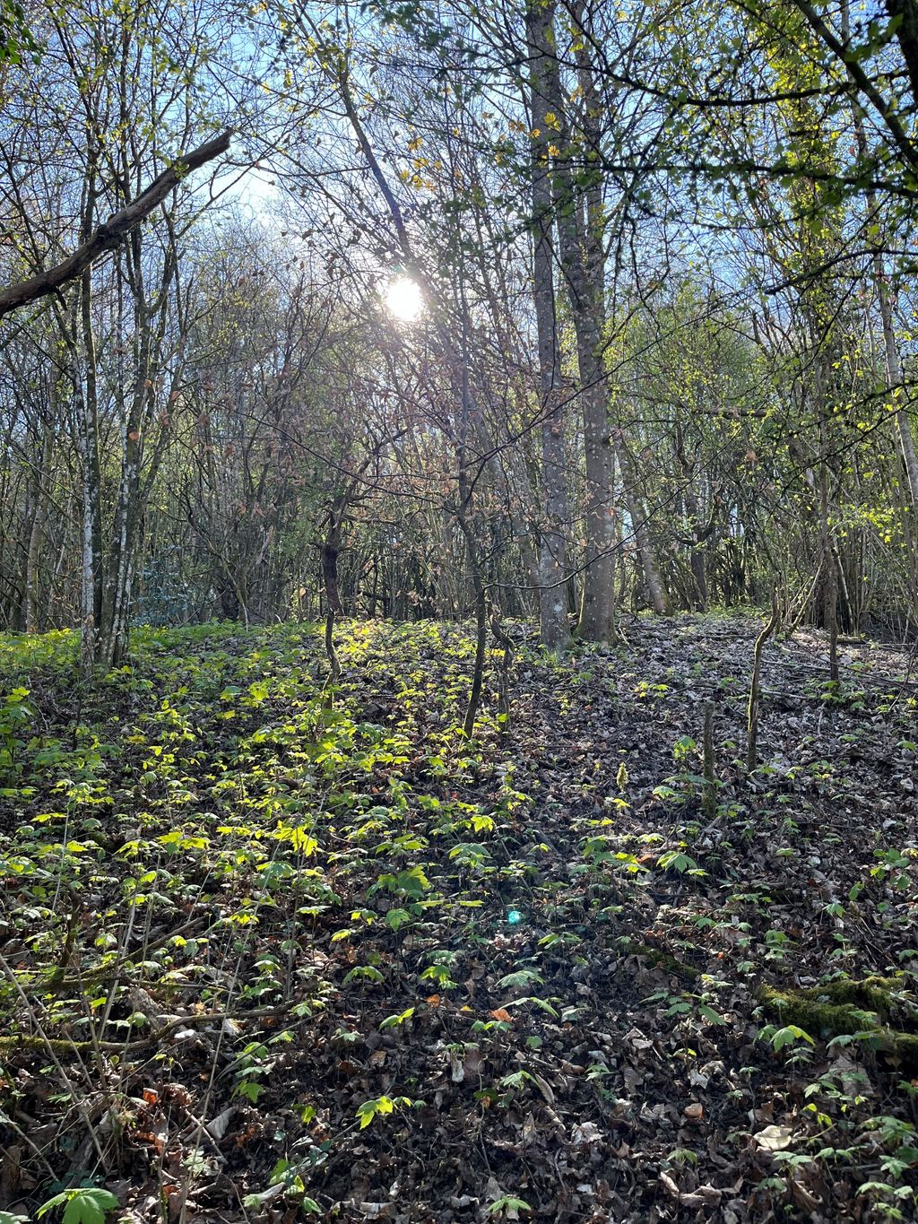 Wildlife Trail