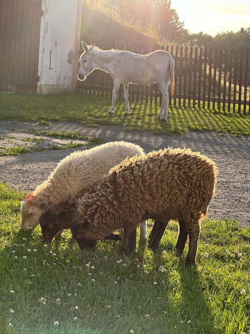 Una plaza de aparcamiento individual de ensueño - Suiza Sajona