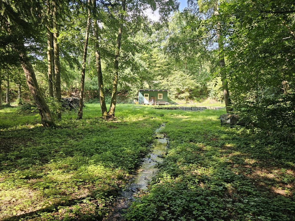 Idyllisches Fleckchen in unserem Wiesengrund