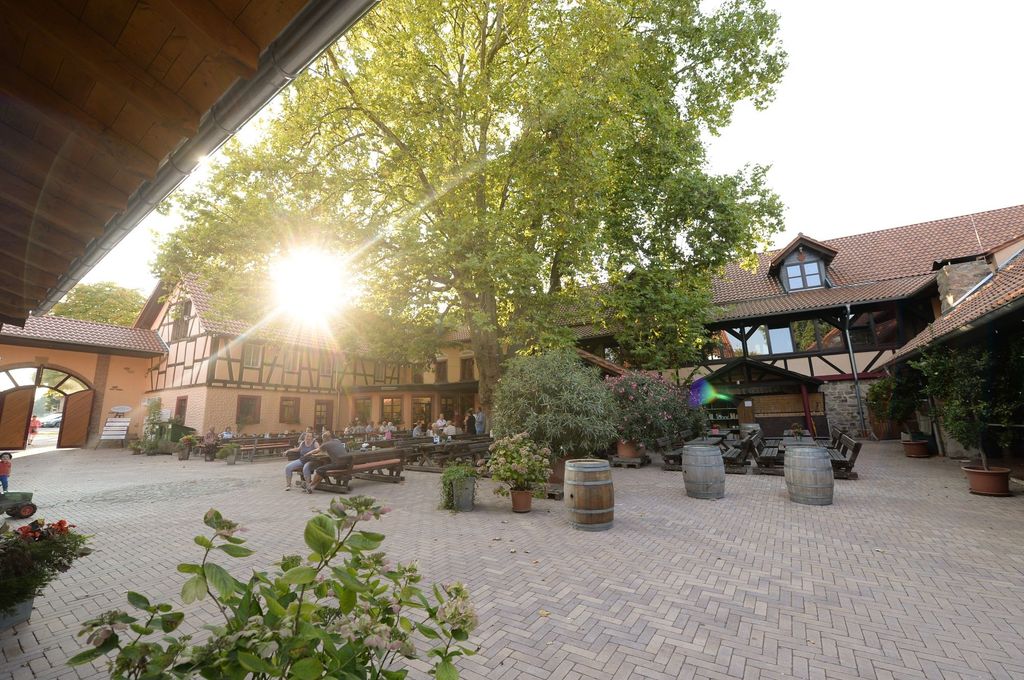 Camping en Bonnheimer Hof, cerca de los viñedos