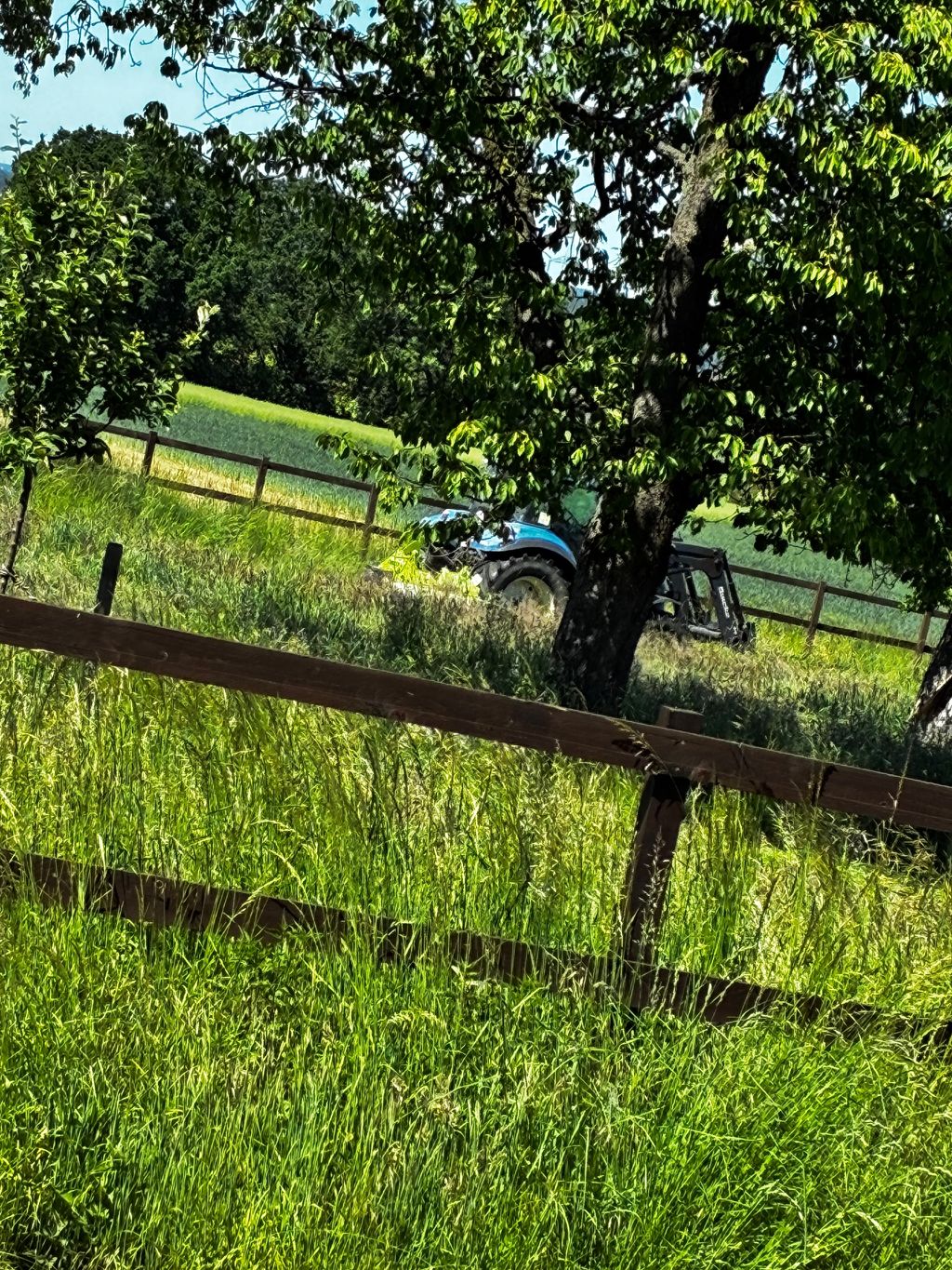 Natur Camping Unna: Hof Stellplatz bei Alpakas