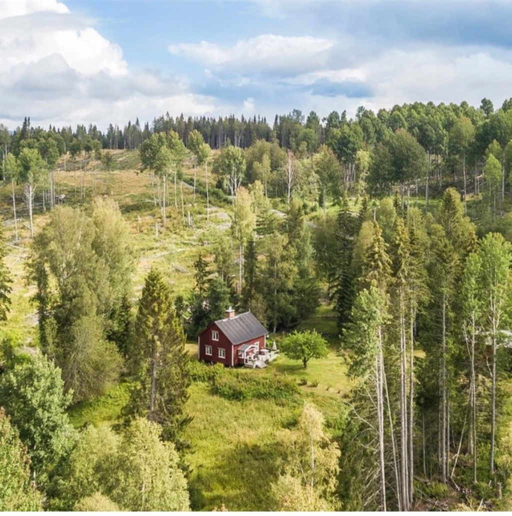 Idillio da sogno in mezzo alla foresta in Svezia
